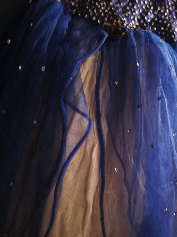 "danubio azul.." de Alicia Tiziano