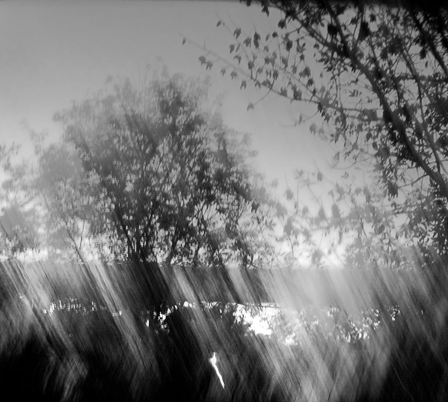"Niebla,luz  con movimientos" de Nora Lilian Iturbide ( Noral )