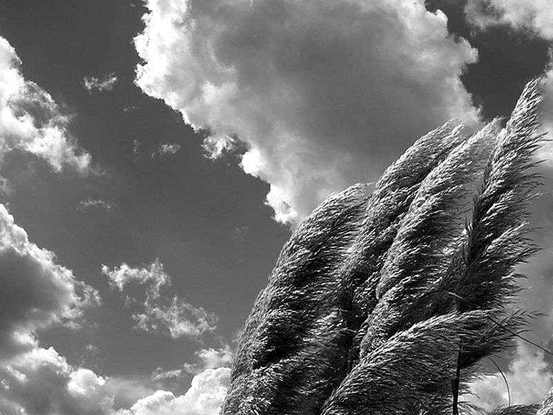 "Nubes y viento" de Eli - Elisabet Ferrari