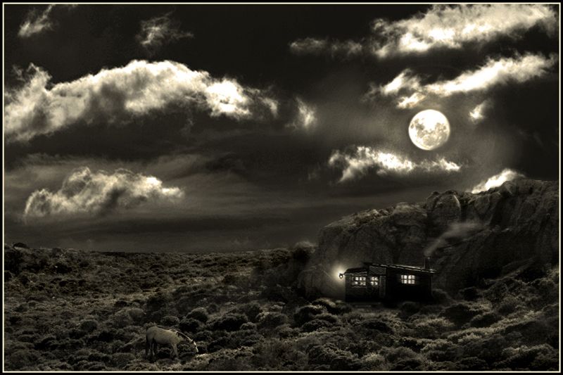 "Noche de luna llena" de Eli - Elisabet Ferrari