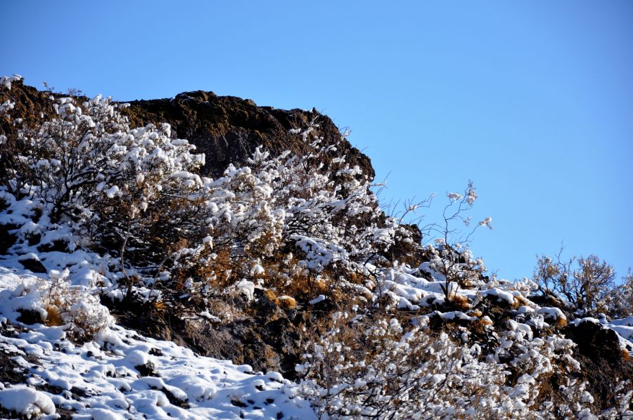 "Nieve y roca" de Nestor Ponce