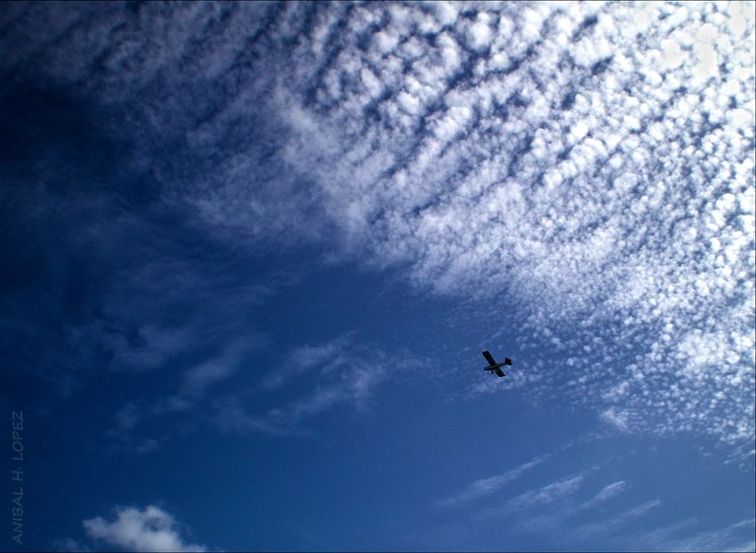 "con nubes de algodn" de Anbal H. Lpez