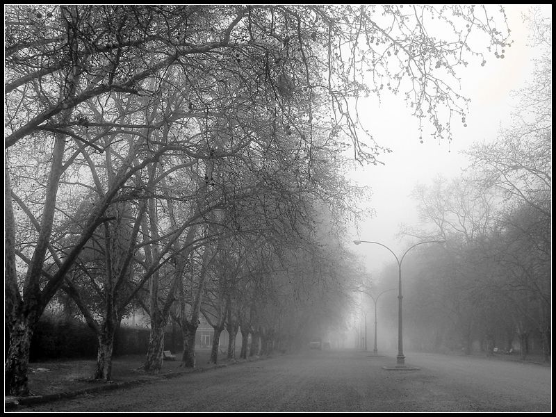 "Niebla" de Eli - Elisabet Ferrari