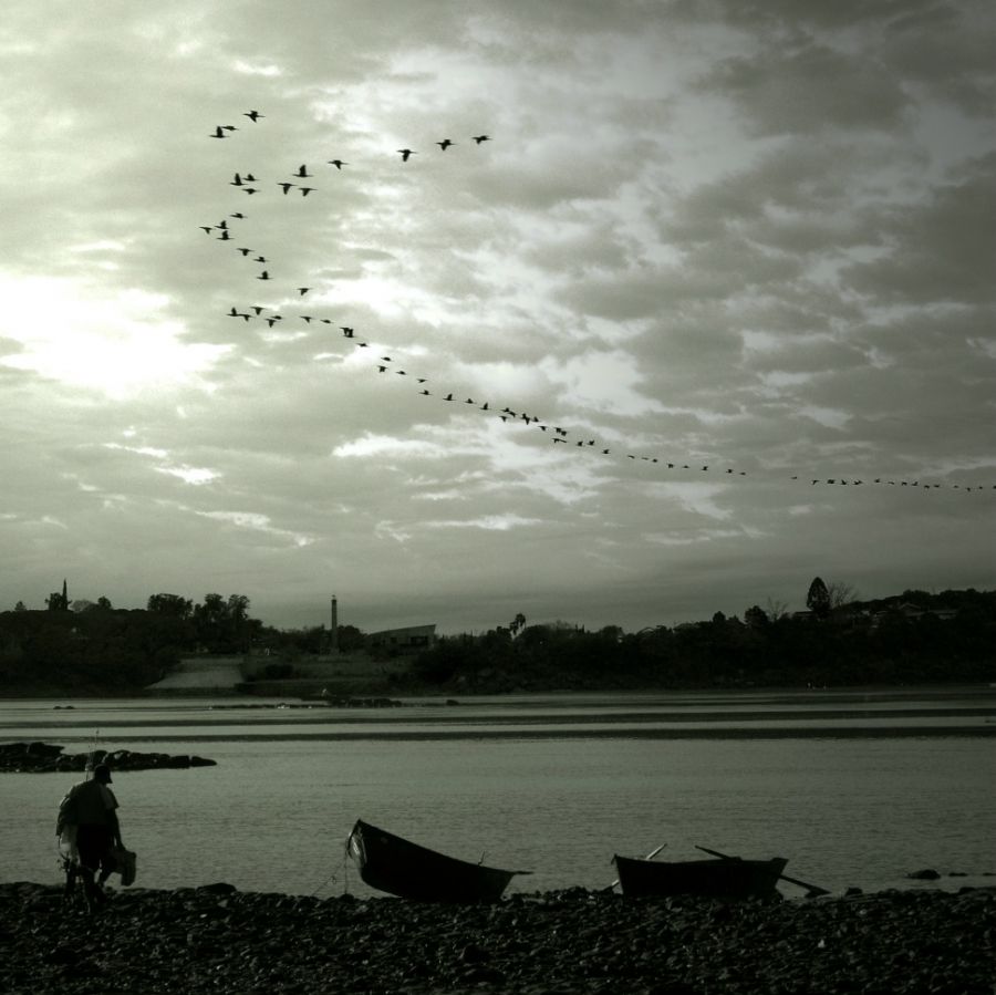 "`A  pescar`" de Cristian Francolini
