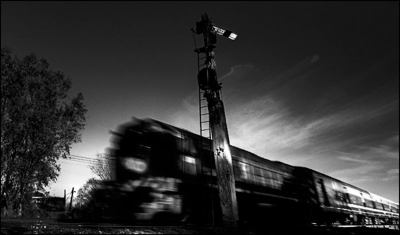 "El tren de la noche" de Walter Belfiore