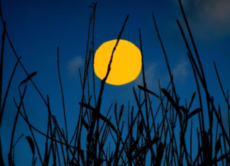 "luna  llena en el amanecer" de Lidia Gonzalez