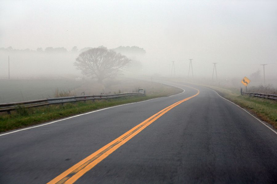 "Niebla en la ruta" de Eli - Elisabet Ferrari