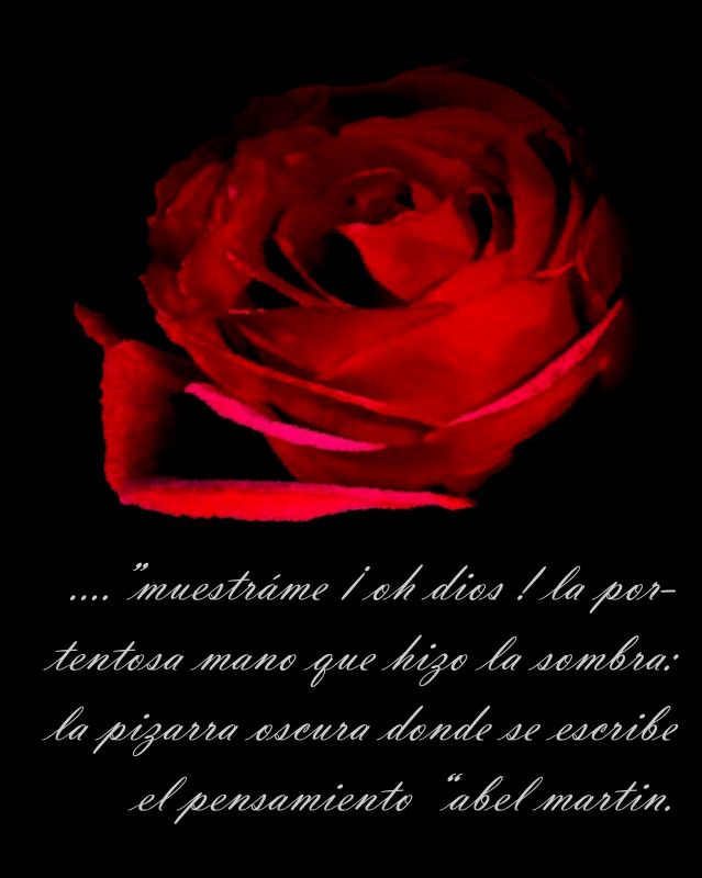 "la rosa roja" de Beatriz Di Marzio