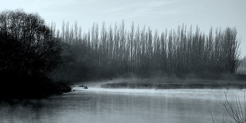 "Niebla sobre el rio." de Raquel Perazo