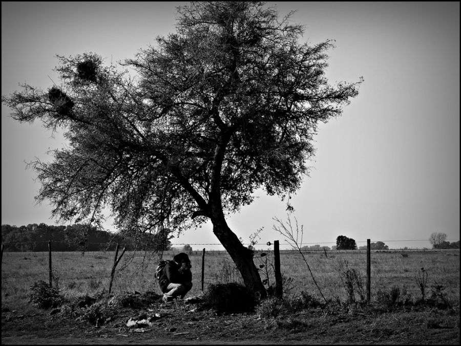 "Fotografiando las sombras" de Alberto Elizalde