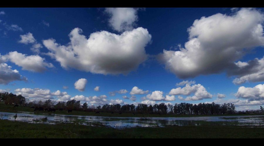 "Llegan las nubes" de Nanci Zumino