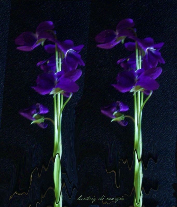 "violetas para t......" de Beatriz Di Marzio
