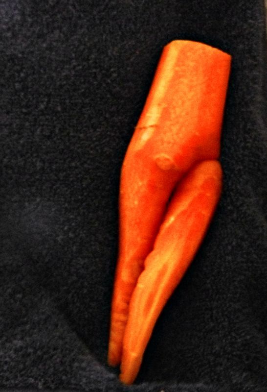 "La zanahoria" de Nora Lilian Iturbide ( Noral )