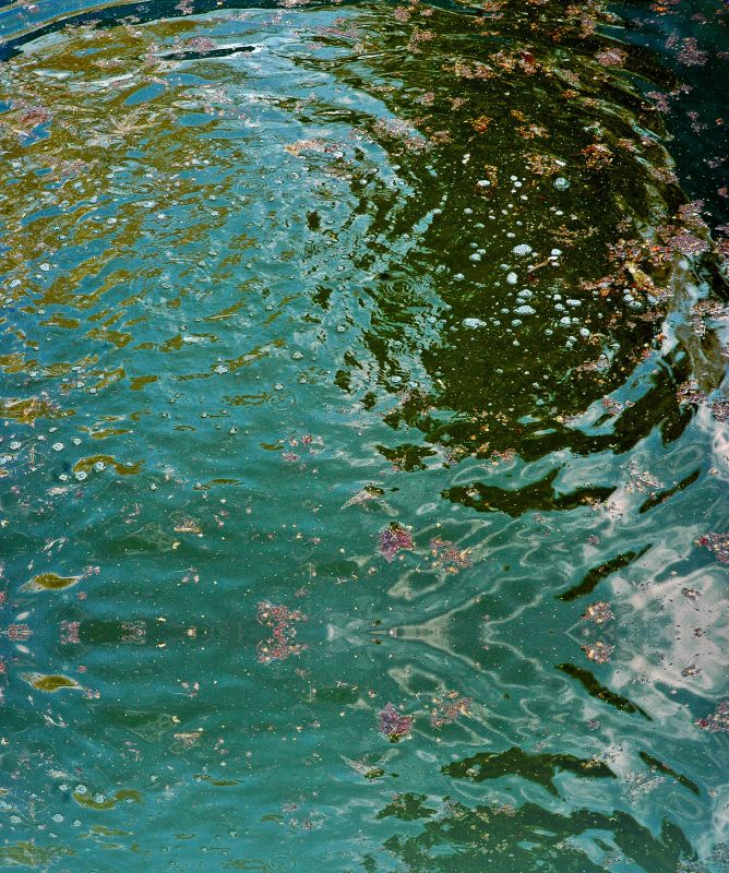 "Agua turbia" de Nora Lilian Iturbide ( Noral )