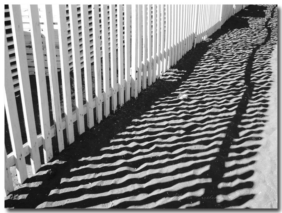 "lineas onduladas" de Maria Cristina Silva
