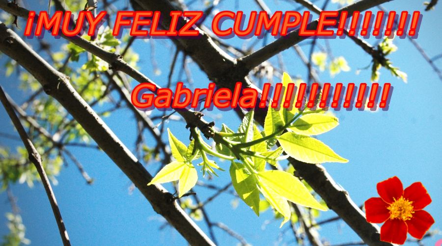 "Cumple Feliz !!!!!" de Nora Lilian Iturbide ( Noral )
