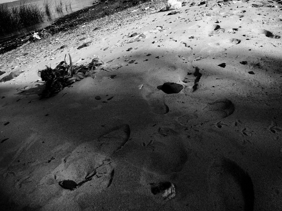 "huellas en la arena" de Simon Calle Leon