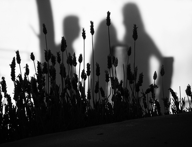 "sombras" de Lidia Gonzalez