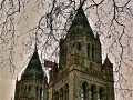The London Nat. History Museum Through My Lens 2