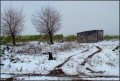 Nieve en Alpachiri