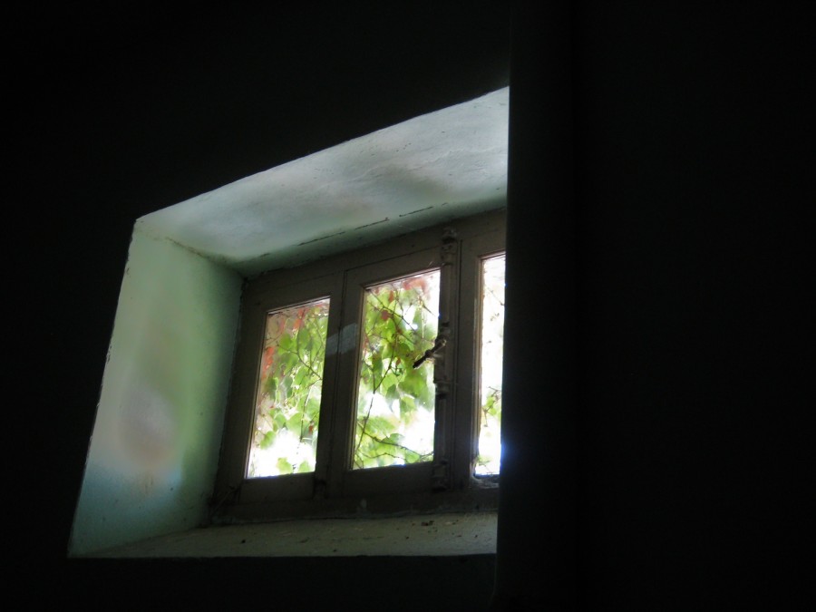 "la ventana" de Alicia Tiziano