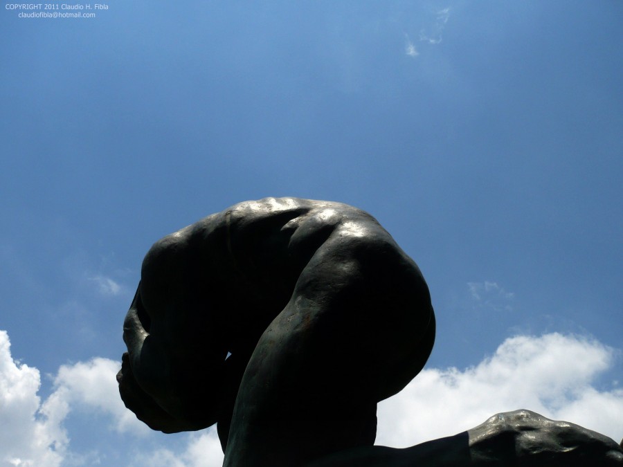 "Casi una estatua" de Claudio H. Fibla