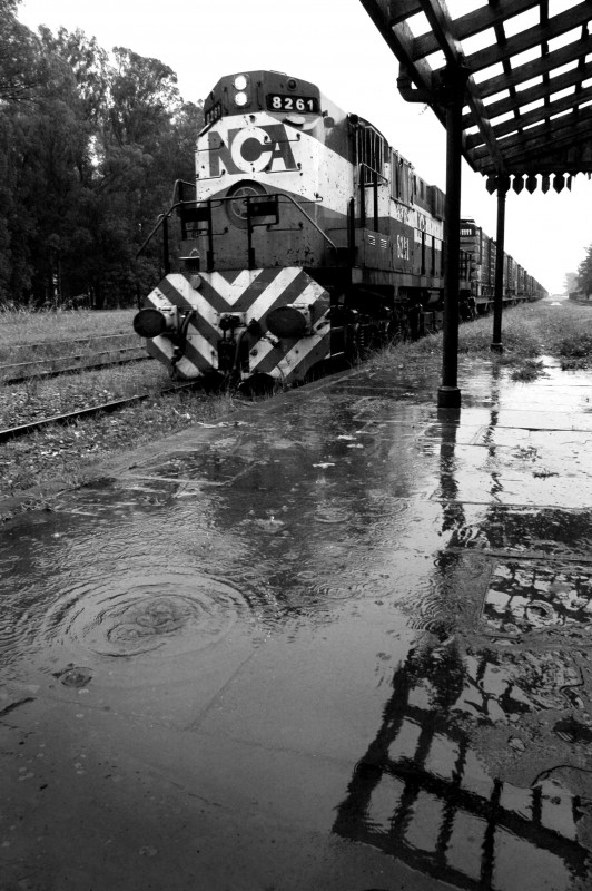 "Tren fantasma" de Ignacio Giovannetti