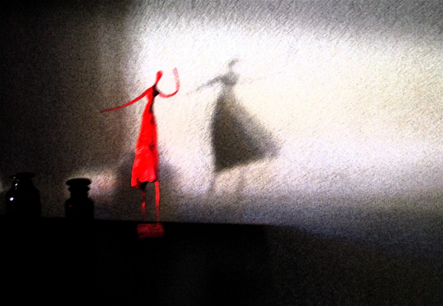 "sombra" de Adriana Elizalde