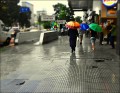 Colores de un dia de lluvia...