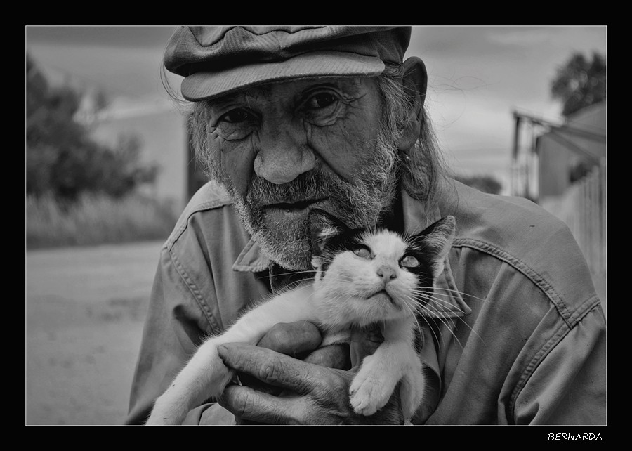 "El Seor de los gatos II" de Bernarda Ballesteros