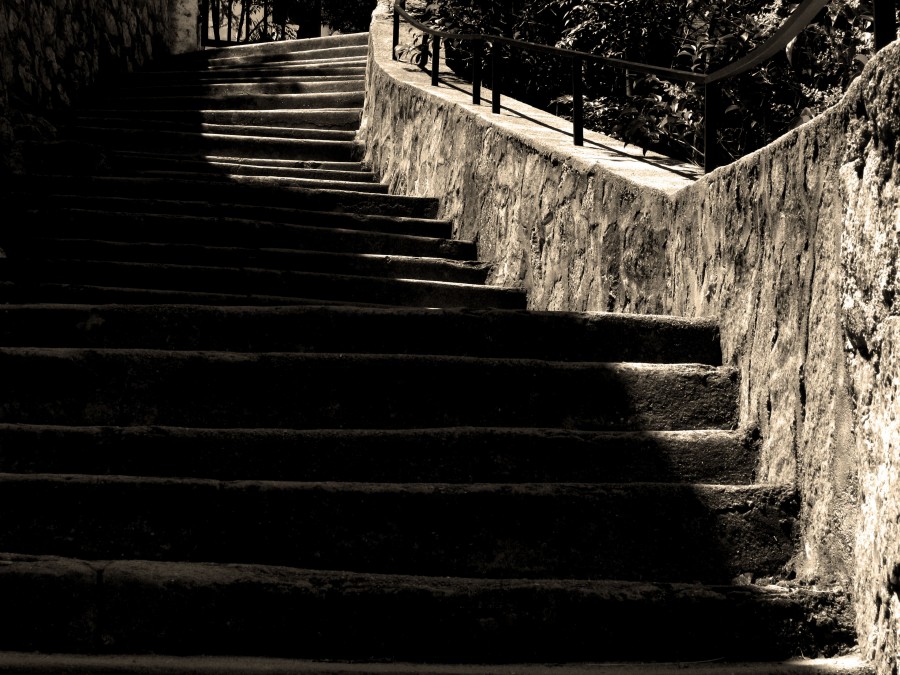 "simplemente escalera" de Laura Jakulis
