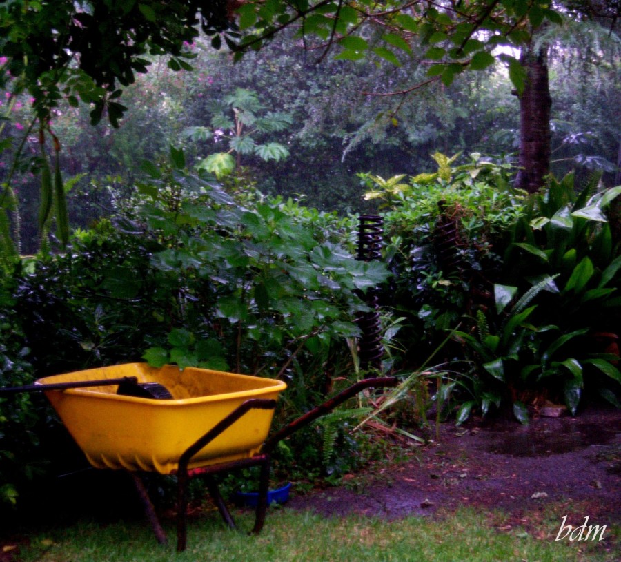 "la lluvia sobre mi jardin" de Beatriz Di Marzio