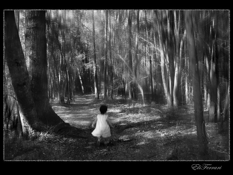 "En el bosque" de Eli - Elisabet Ferrari