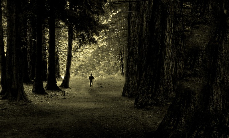 "Camino de Sequoias" de Juan Mauro Blanco