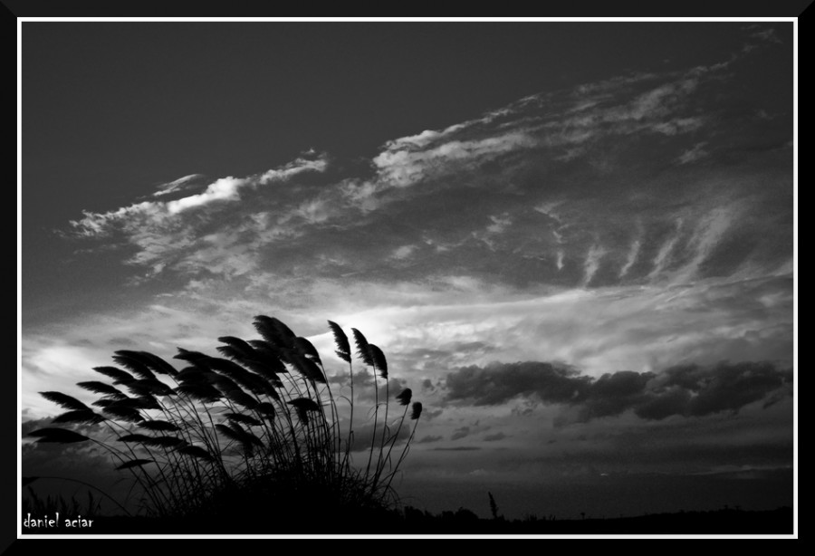 "fotografiando el viento" de Daniel Aciar