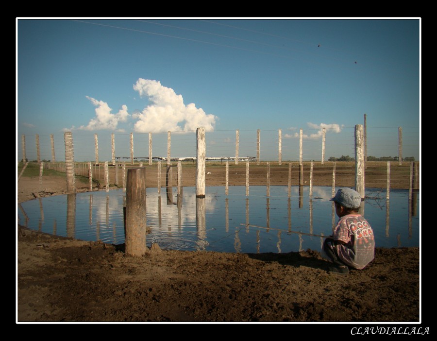 "Pescando nubes" de Claudia Alejandra Allala