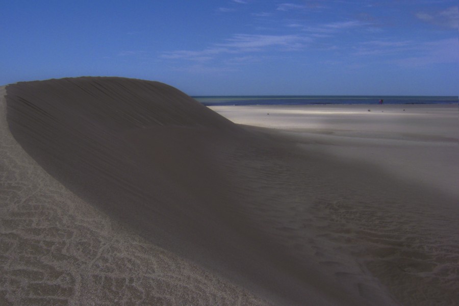 "Las dunas y el mar" de Tesi Salado
