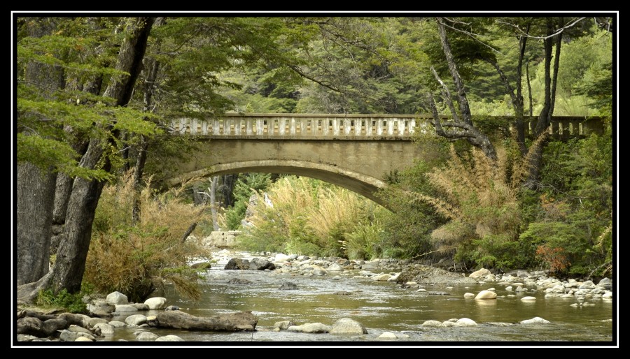 "El Puente II" de Gaston E. Polese