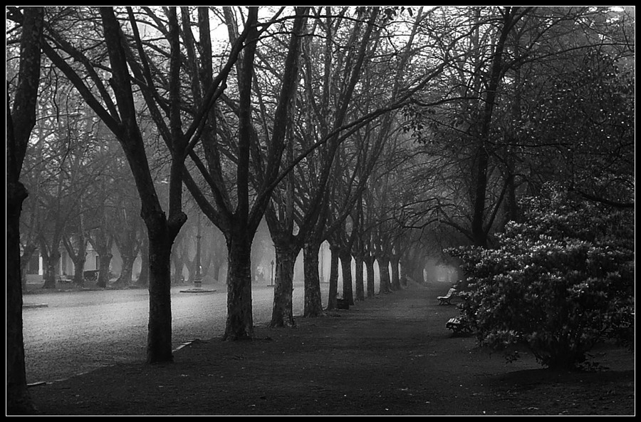 "Niebla en el parque" de Eli - Elisabet Ferrari