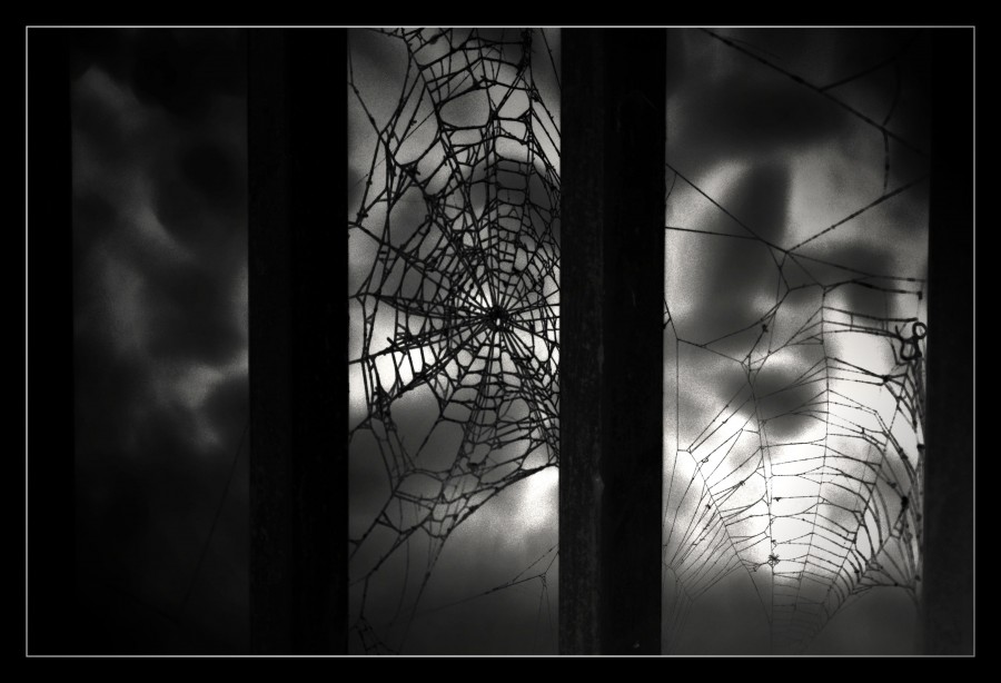"Atrapados por la red" de Patricia Mandalunis