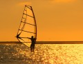 dorado windsurfer