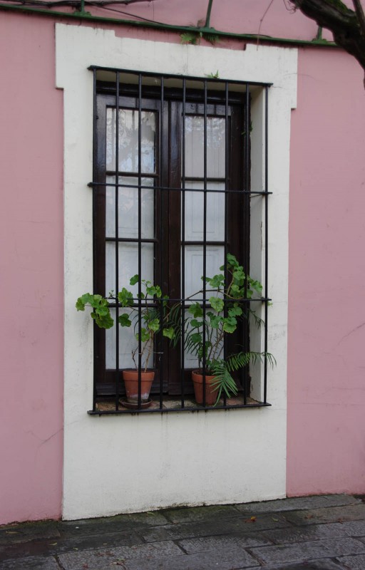 "Una ventana" de Ricardo Luis Zedler