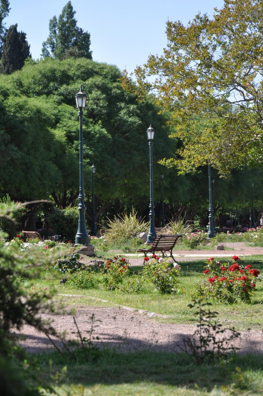 "rosedal del parque G.S.Martin-Mendoza" de Jose Alberto Vicente