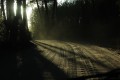 sombras en el camino