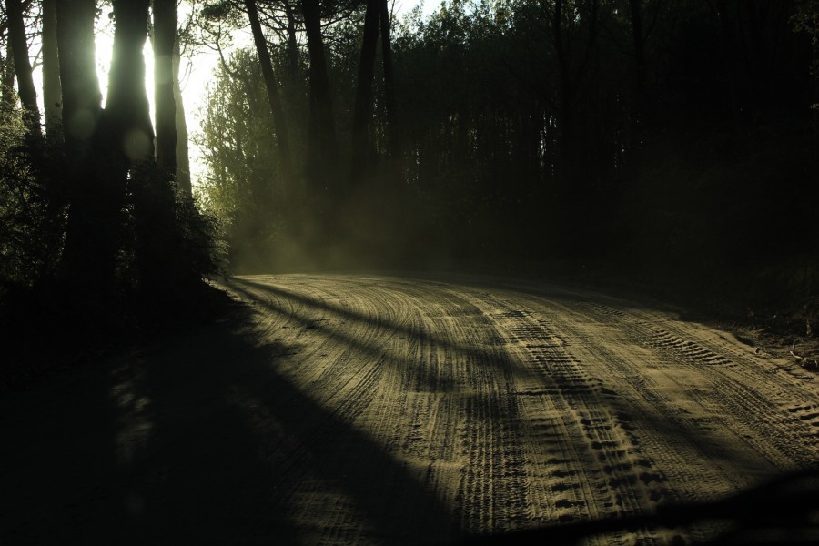 "sombras en el camino" de Javier Centioni