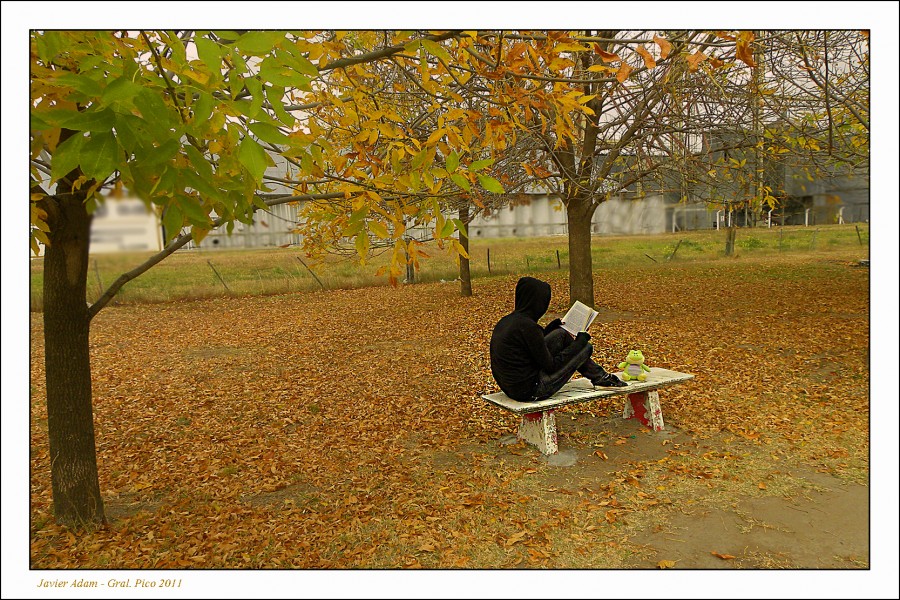 "lectura en soledad" de Javier Adam