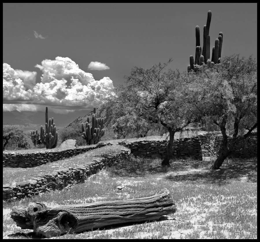 "Ruinas Quilmes" de Eli - Elisabet Ferrari