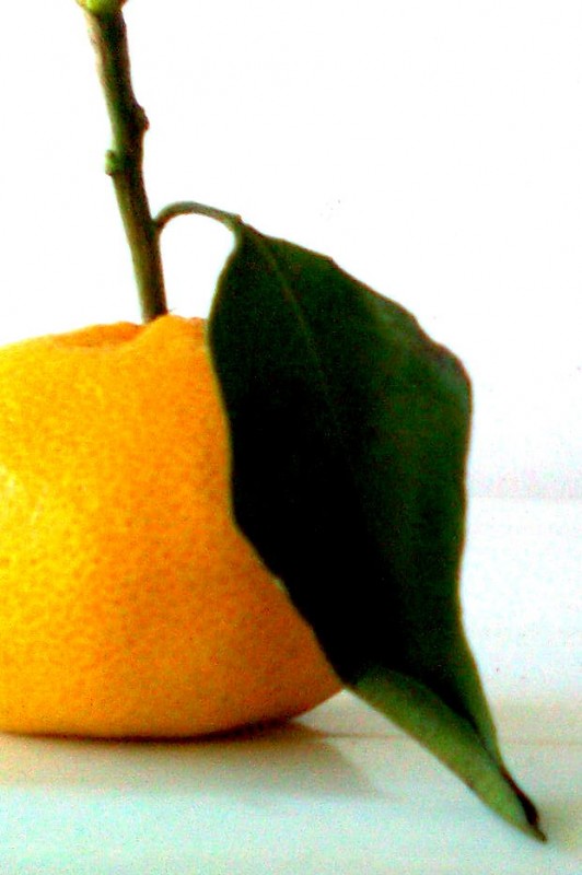 "`una mandarina`, modelo de estacion" de Maria Del Carmen Aguilera