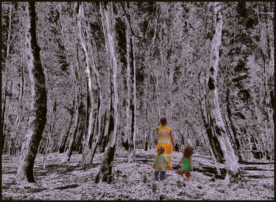 "En un bosque de Fantasias" de Ruben Perea