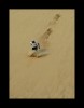 Derrapando en las dunas